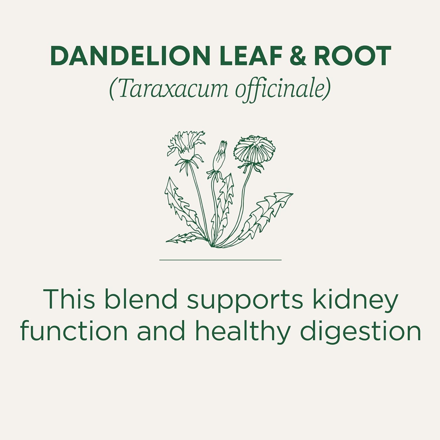 Traditional Medicinals Organic Dandelion Herbal Tea – Holiday Gift for Women Who Love Plant-Based Wellness