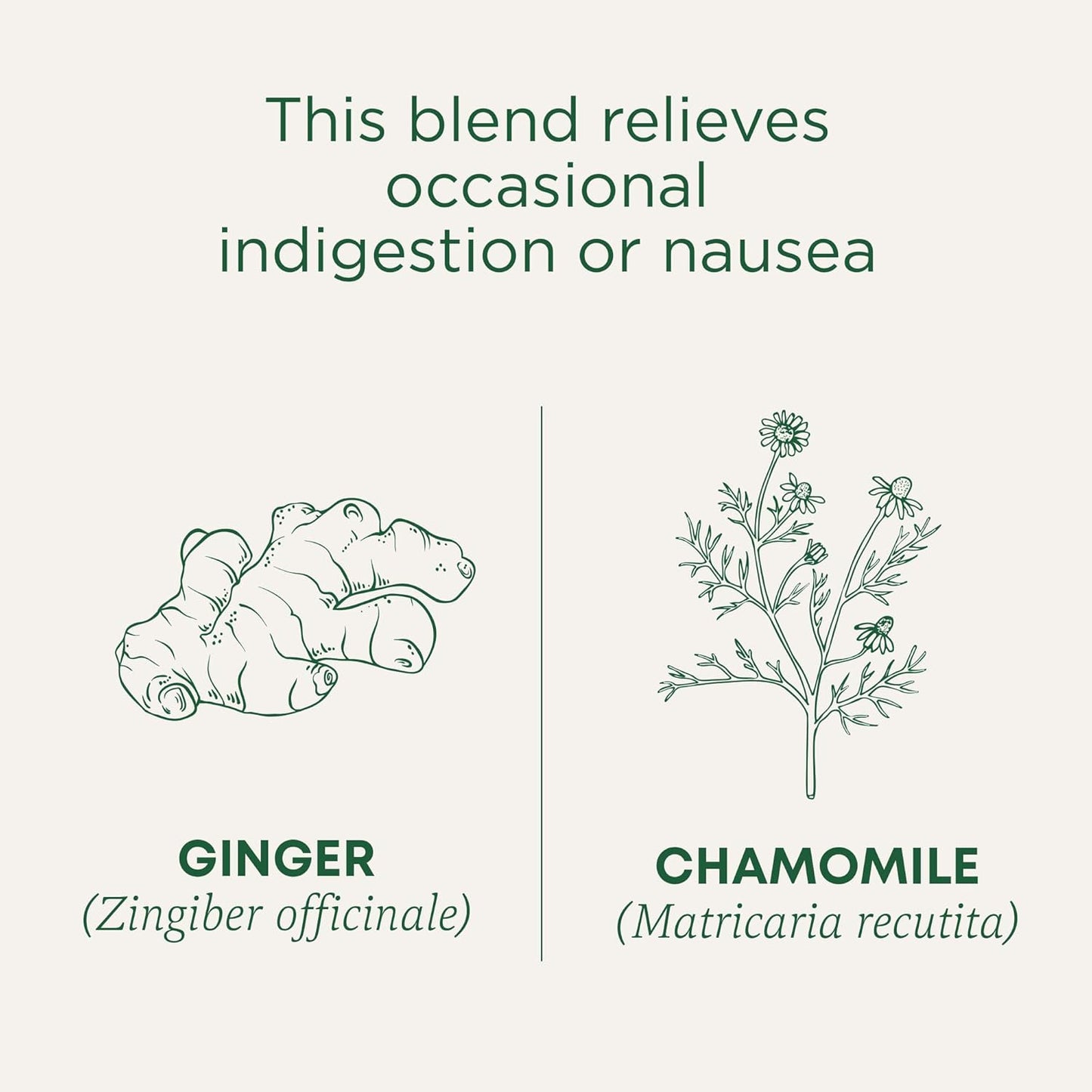 Traditional Medicinals Organic Tea Ginger & Chamomile – Cozy Housewarming Gift for Women Who Love Herbal Remedies, 16 Bags