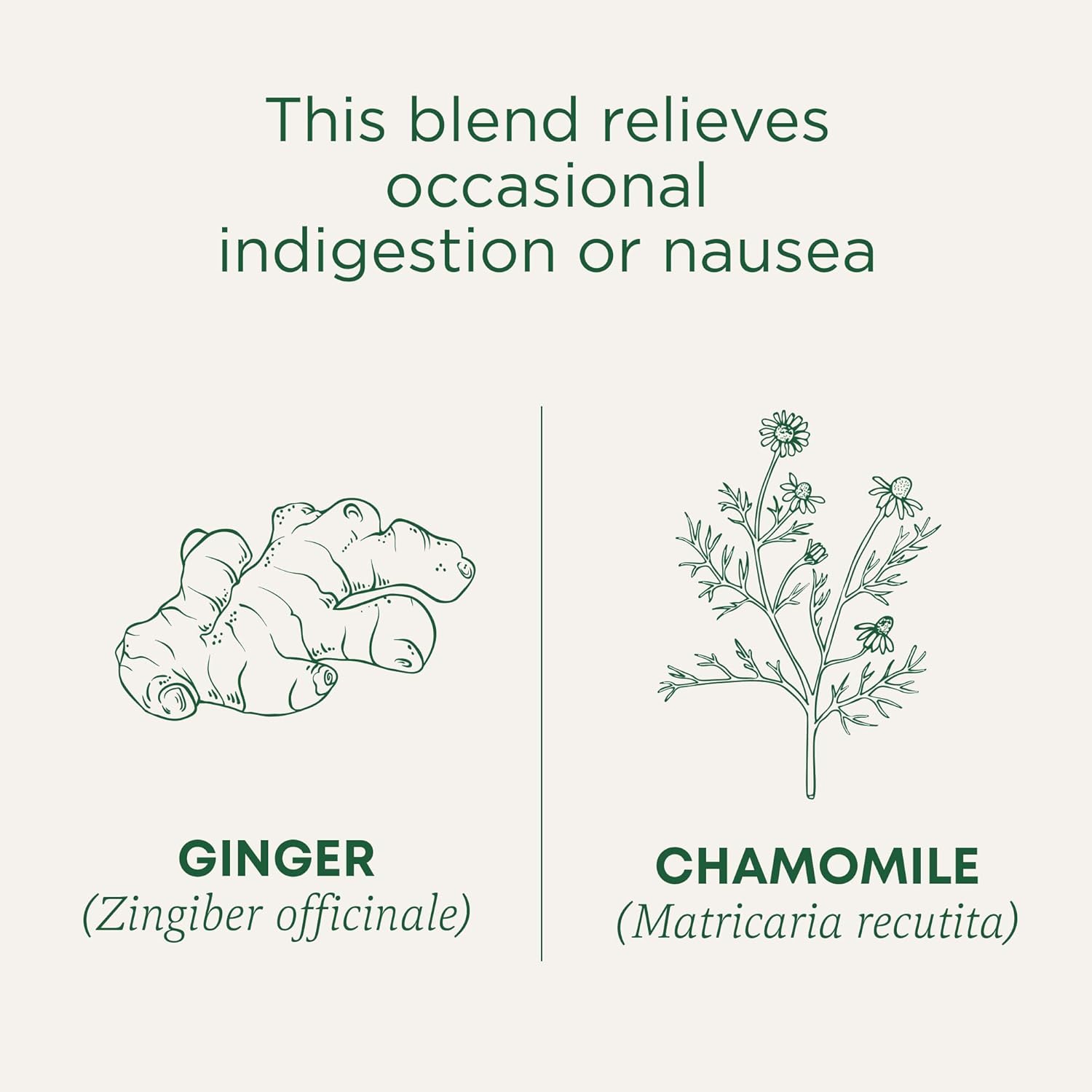Traditional Medicinals Organic Tea Ginger & Chamomile – Cozy Housewarming Gift for Women Who Love Herbal Remedies, 16 Bags