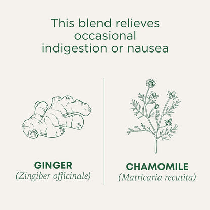 Traditional Medicinals Organic Tea Ginger & Chamomile – Cozy Housewarming Gift for Women Who Love Herbal Remedies, 16 Bags