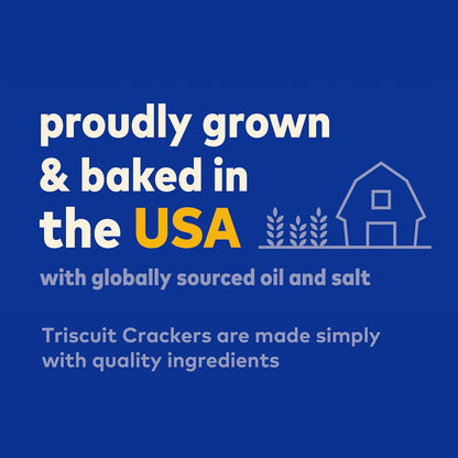 Triscuit Hint of Sea Salt Whole Grain Crackers – Quick Whole Wheat Bite for Between-Meeting Office Fuel