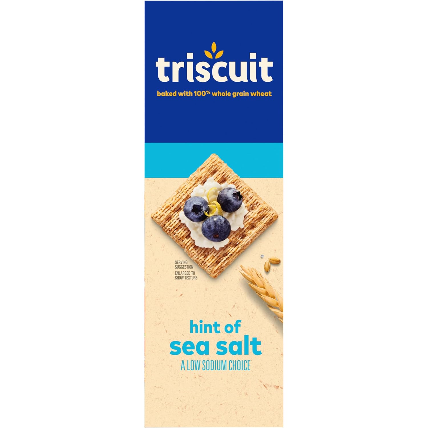 Triscuit Hint of Sea Salt Whole Grain Crackers – Quick Whole Wheat Bite for Between-Meeting Office Fuel