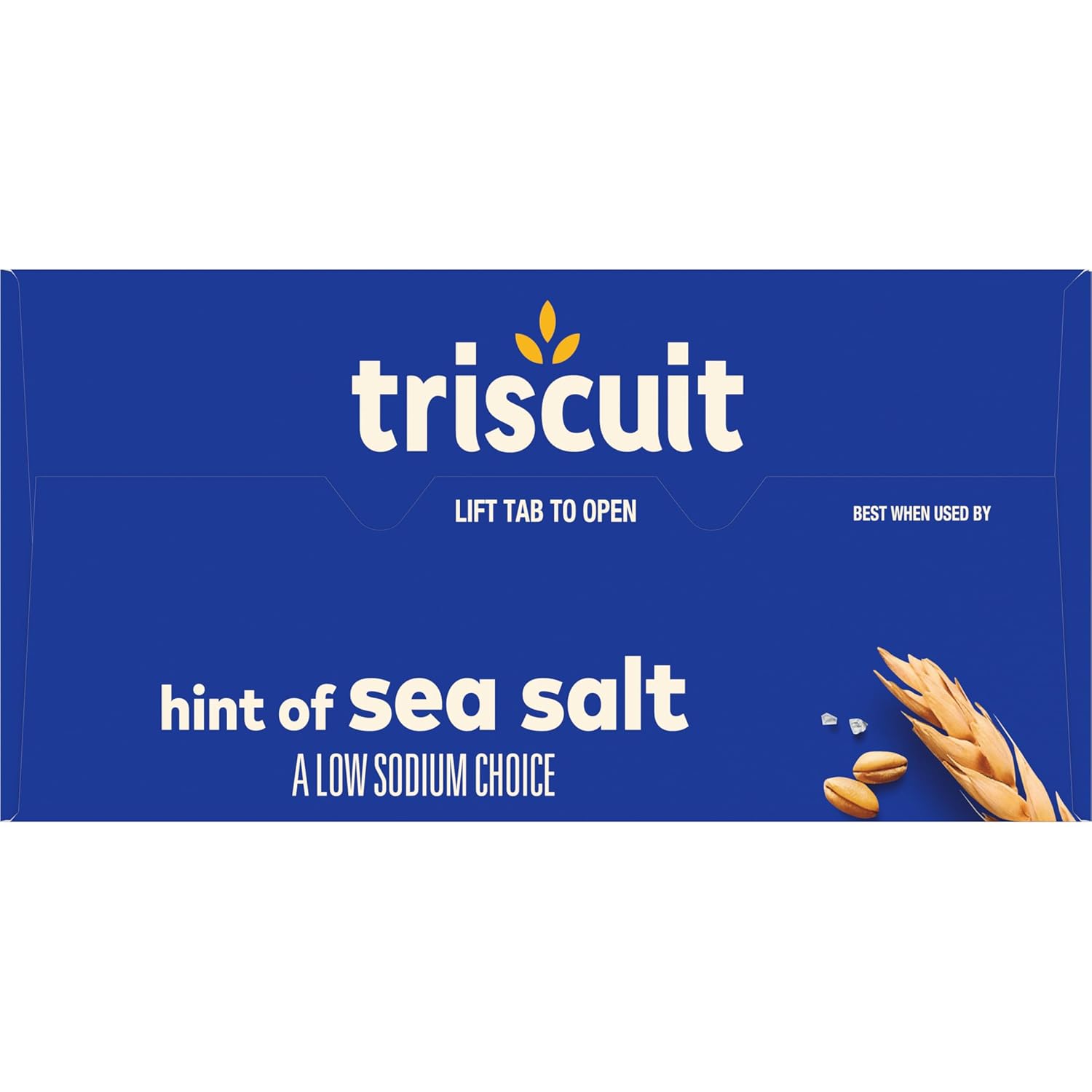 Triscuit Hint of Sea Salt Whole Grain Crackers – Quick Whole Wheat Bite for Between-Meeting Office Fuel