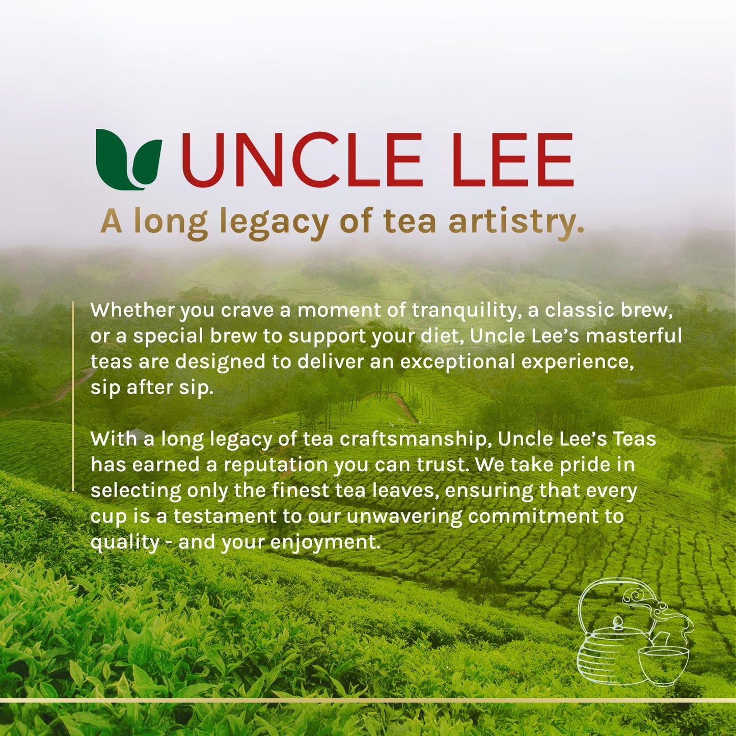 Uncle Lee's Organic Matcha Green Tea Bags – Jitter-Free Coffee Replacement for Study Sessions and Deep Work