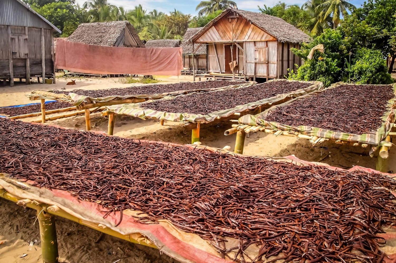 Vanilla Extract Co. Tahitian Pods – Clean, Vacuum-Sealed Pantry Staple for Less-Is-More Kitchens