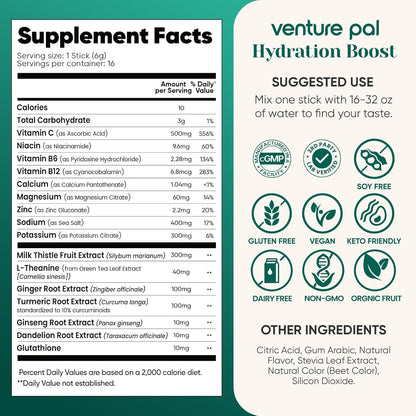 Venture Pal Electrolyte Detox Stick Pack – Housewarming Gift for the Health-Conscious Friend