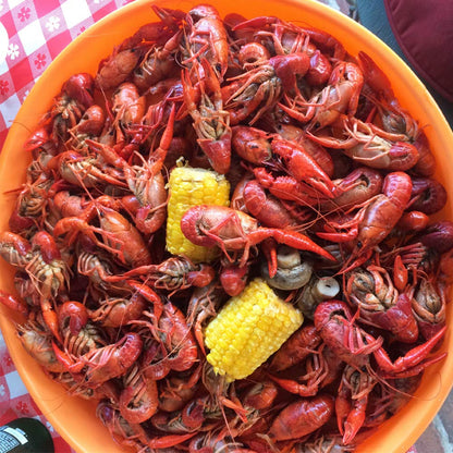 Zatarain's Crawfish, Shrimp & Crab Boil 4.5 lb – Turkey Fryer Seafood Boil Spice for Outdoor Block Parties